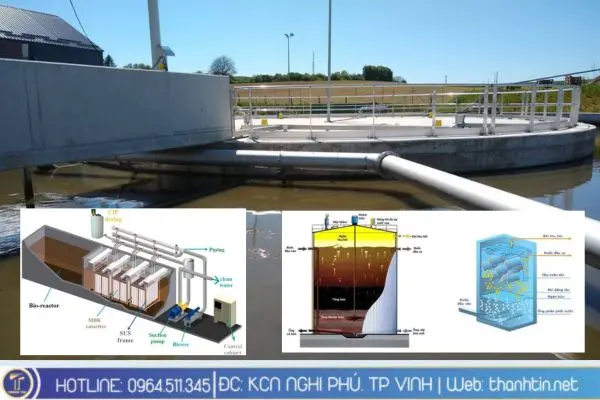 Công nghệ xử lý nước thải thủy sản