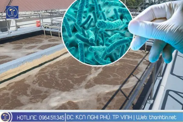 Ứng dụng của vi sinh vật trong xử lý nước thải