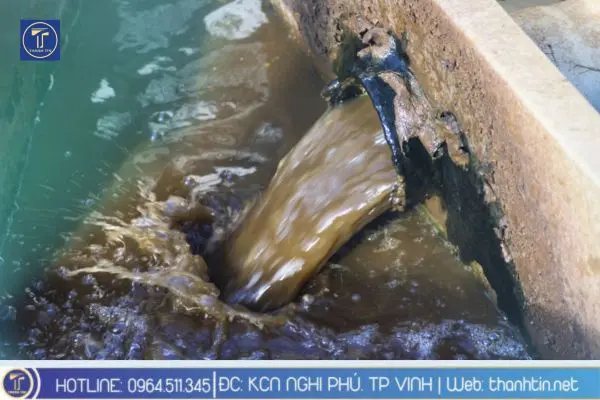 Vì sao cần xử lý nước thải thủy sản